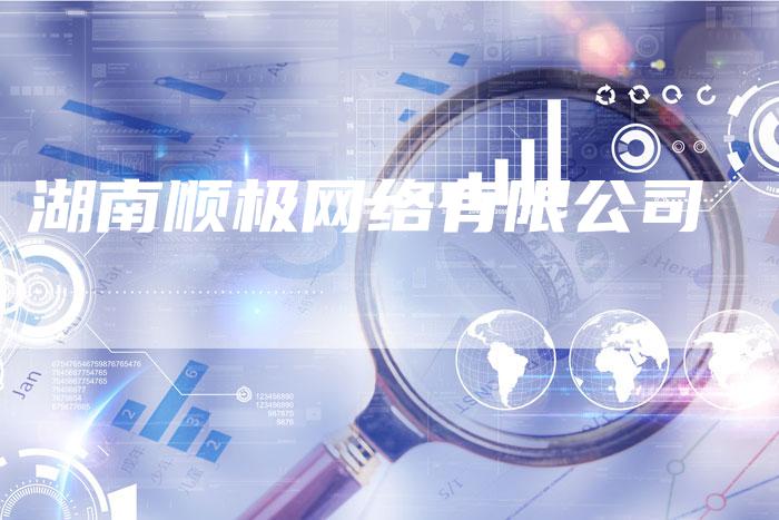 湖南顺极网络有限公司