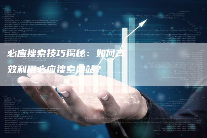 必应搜索技巧揭秘：如何高效利用必应搜索网站？