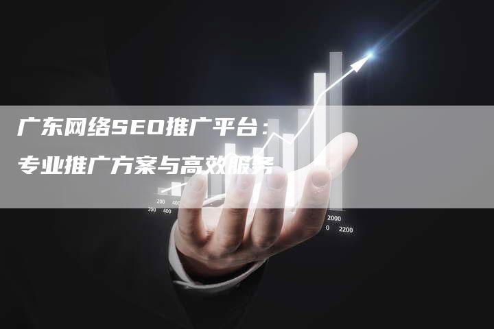 广东网络SEO推广平台：专业推广方案与高效服务