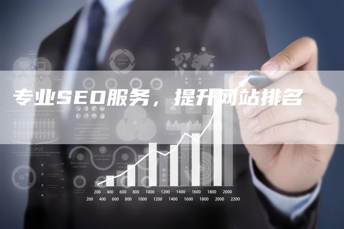 专业SEO服务，提升网站排名