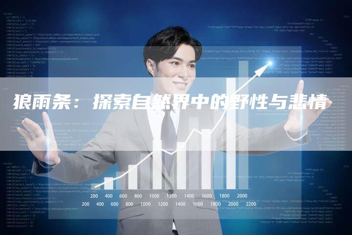 狼雨条：探索自然界中的野性与悲情