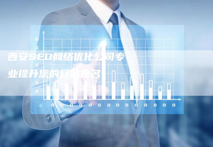 西安SEO网络优化公司专业提升您的网站排名