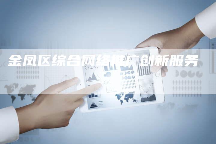 金凤区综合网络推广创新服务