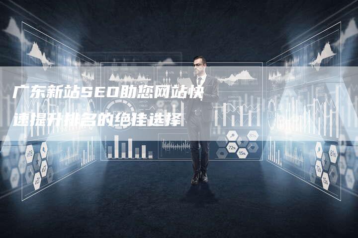 广东新站SEO助您网站快速提升排名的绝佳选择
