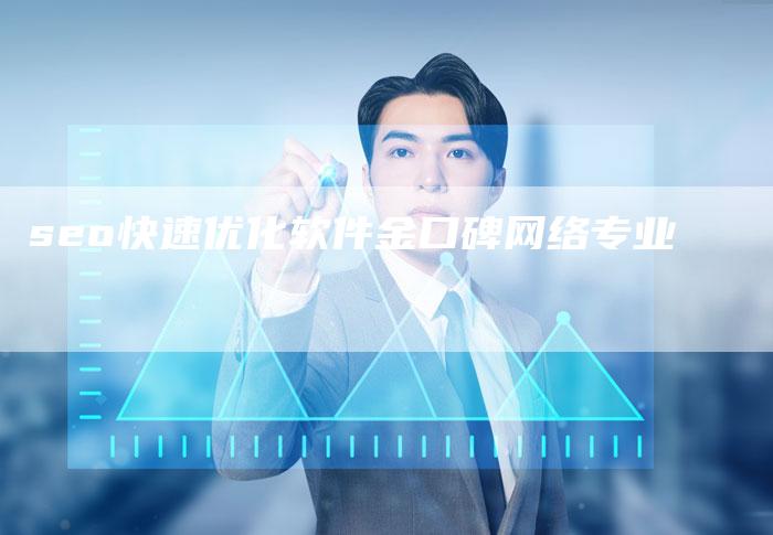 seo快速优化软件金口碑网络专业