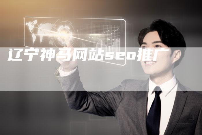 辽宁神马网站seo推广