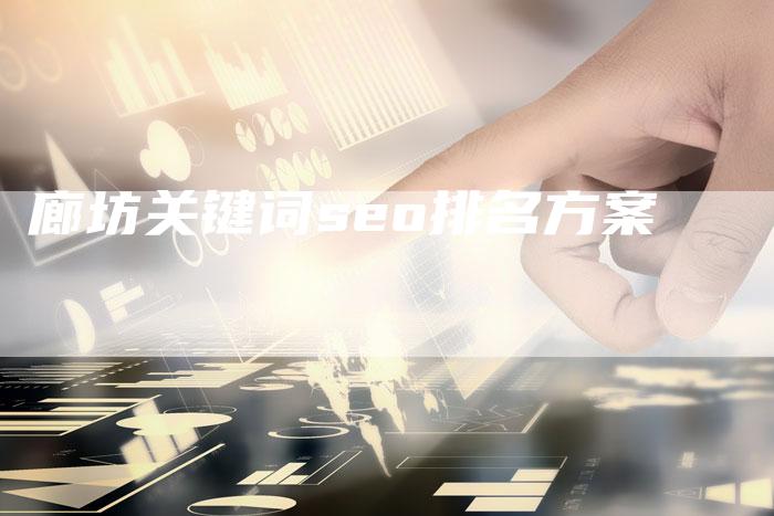 廊坊关键词seo排名方案