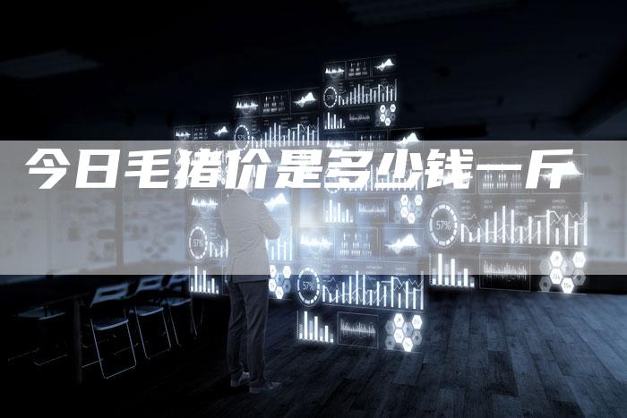 今日毛猪价是多少钱一斤