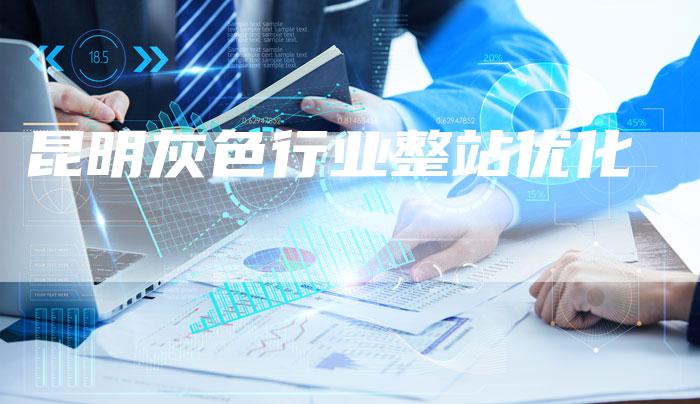 昆明灰色行业整站优化