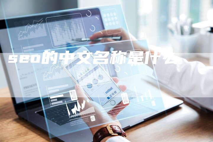 seo的中文名称是什么