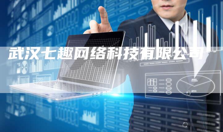 武汉七趣网络科技有限公司