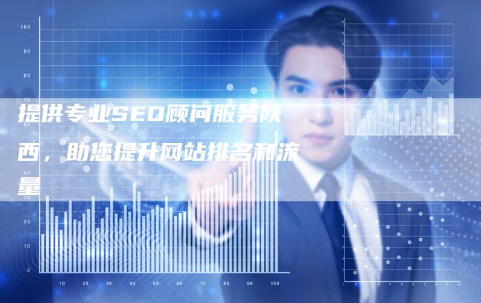 提供专业SEO顾问服务陕西，助您提升网站排名和流量