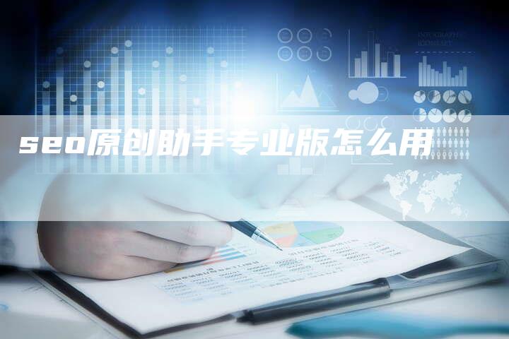 seo原创助手专业版怎么用