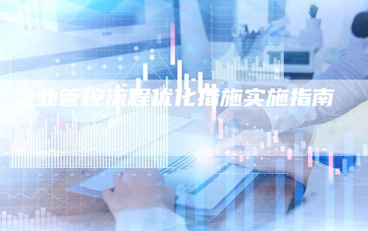 企业管控流程优化措施实施指南