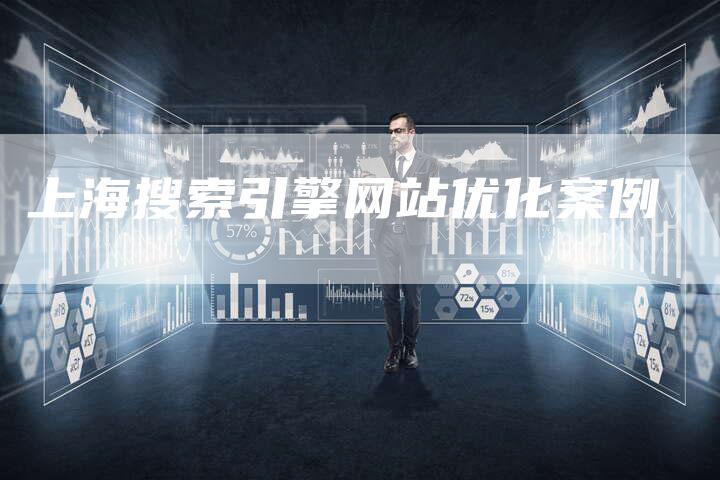 上海搜索引擎网站优化案例