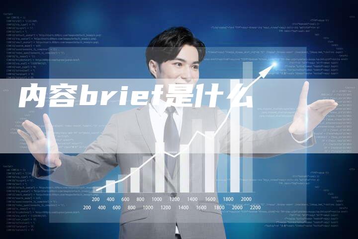 内容brief是什么