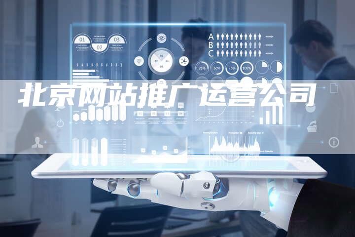 北京网站推广运营公司