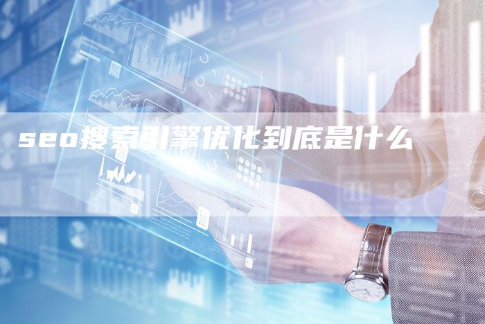 seo搜索引擎优化到底是什么