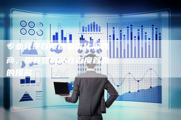 专业北京百度首页优化服务商，提升您网站在百度首页的排名