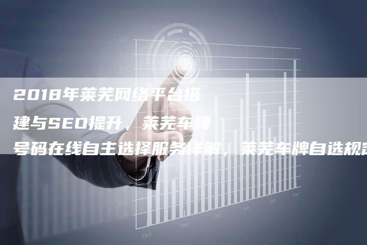 2018年莱芜网络平台搭建与SEO提升，莱芜车牌号码在线自主选择服务详解，莱芜车牌自选规定全解读