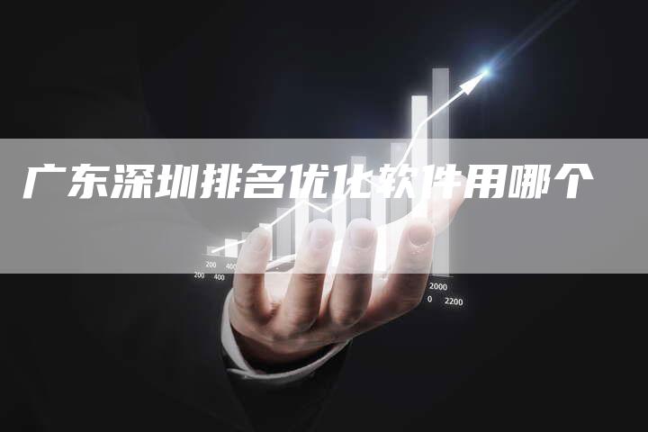 广东深圳排名优化软件用哪个