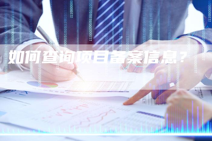 如何查询项目备案信息？