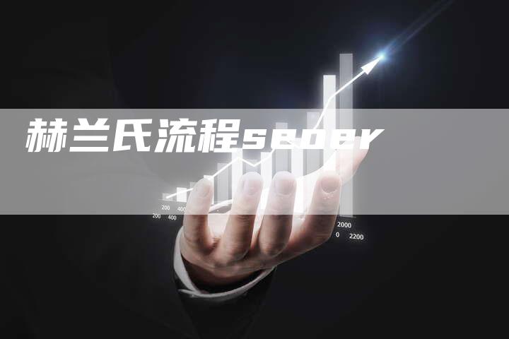 赫兰氏流程seoer
