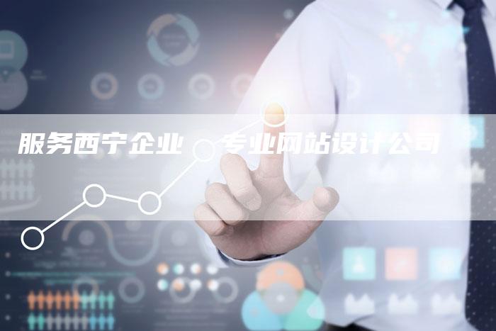 服务西宁企业  专业网站设计公司