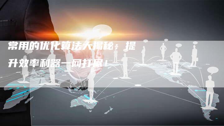 常用的优化算法大揭秘：提升效率利器一网打尽！