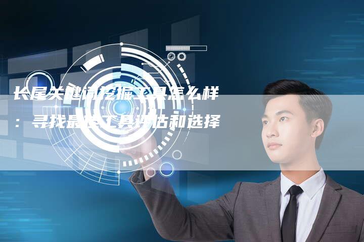 长尾关键词挖掘工具怎么样：寻找最佳工具评估和选择
