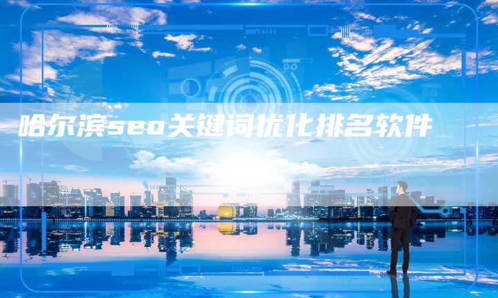 哈尔滨seo关键词优化排名软件