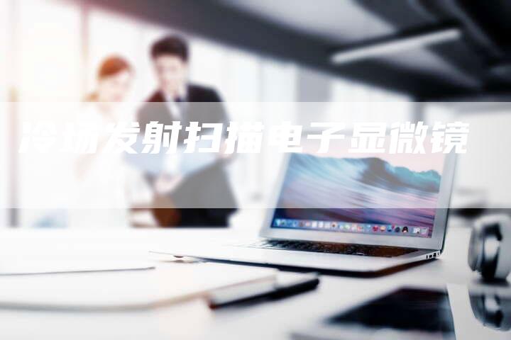 冷场发射扫描电子显微镜