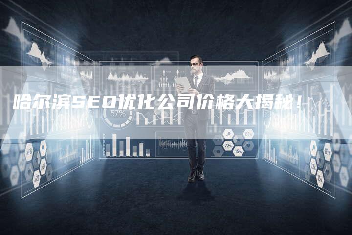 哈尔滨SEO优化公司价格大揭秘！
