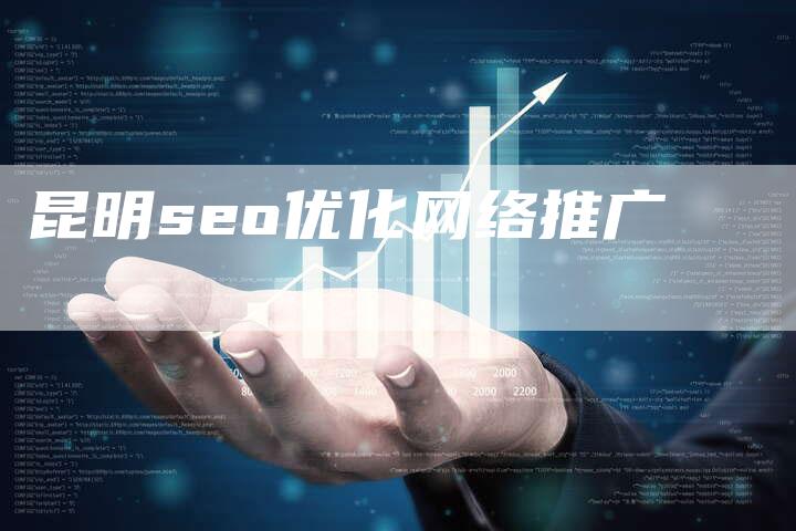 昆明seo优化网络推广