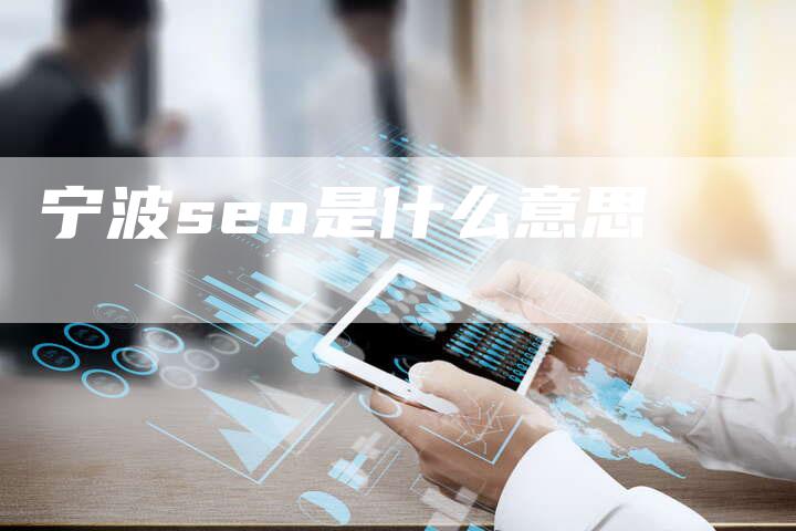 宁波seo是什么意思