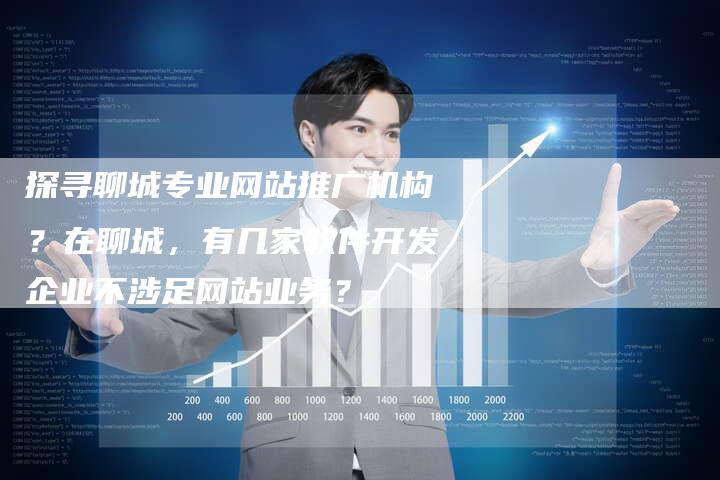 探寻聊城专业网站推广机构？在聊城，有几家软件开发企业不涉足网站业务？