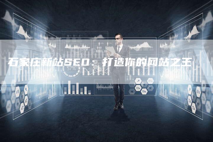 石家庄新站SEO：打造你的网站之王