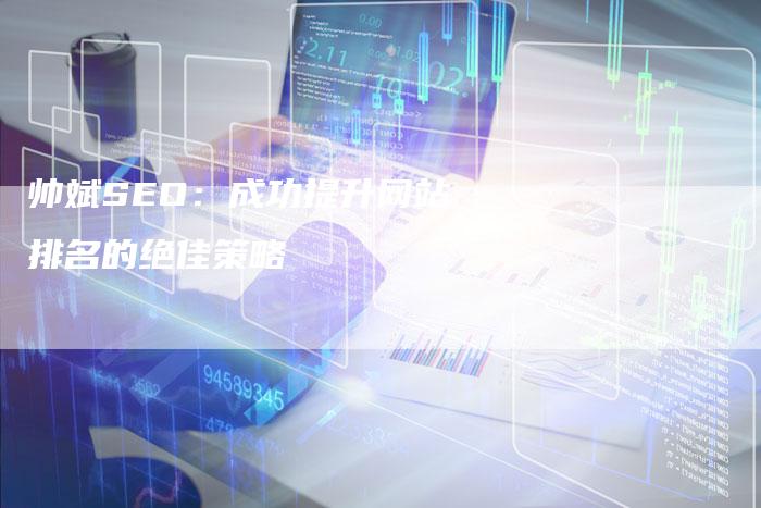 帅斌SEO：成功提升网站排名的绝佳策略