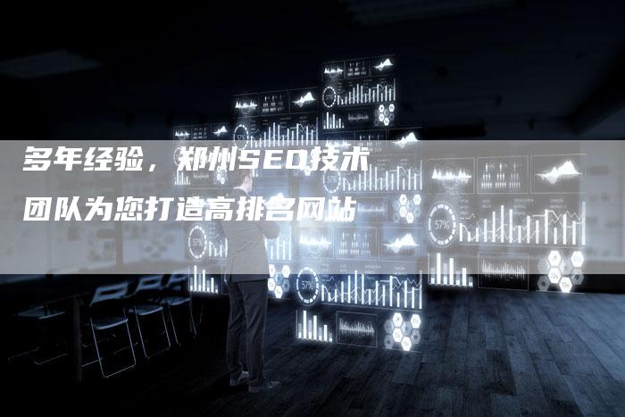 多年经验，郑州SEO技术团队为您打造高排名网站