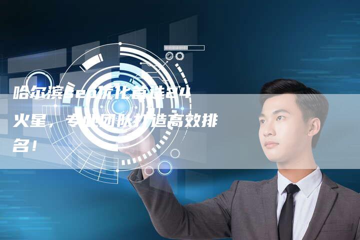 哈尔滨seo优化首选24火星，专业团队打造高效排名！