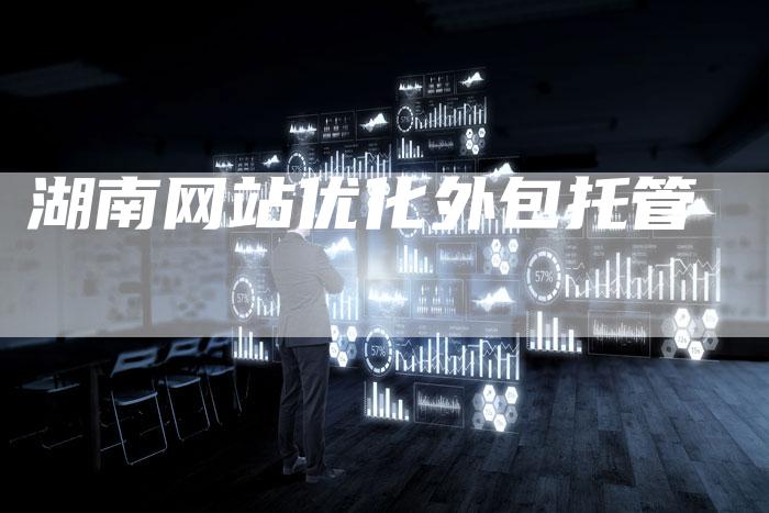 湖南网站优化外包托管