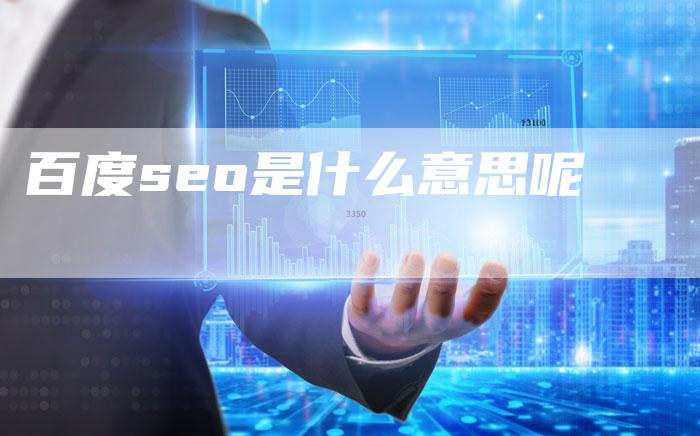 百度seo是什么意思呢