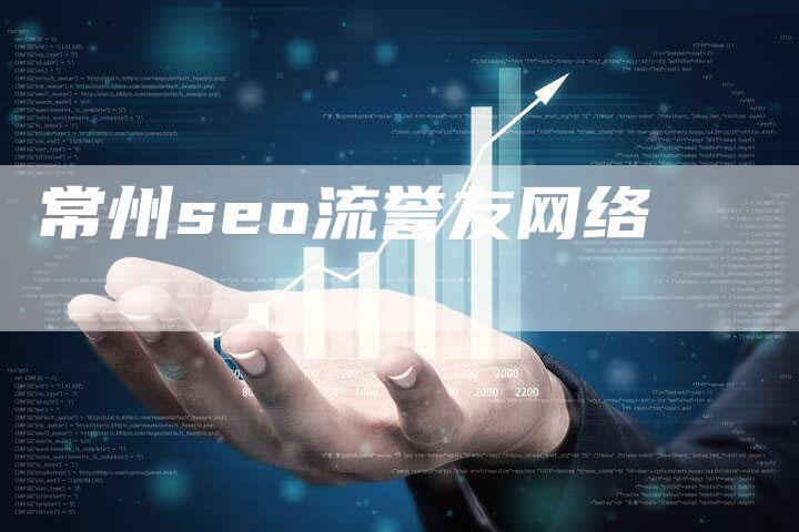 常州seo流誉友网络