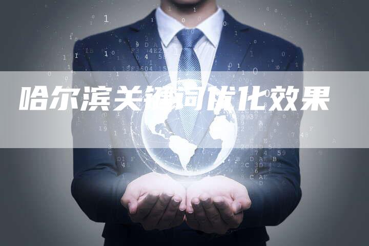 哈尔滨关键词优化效果
