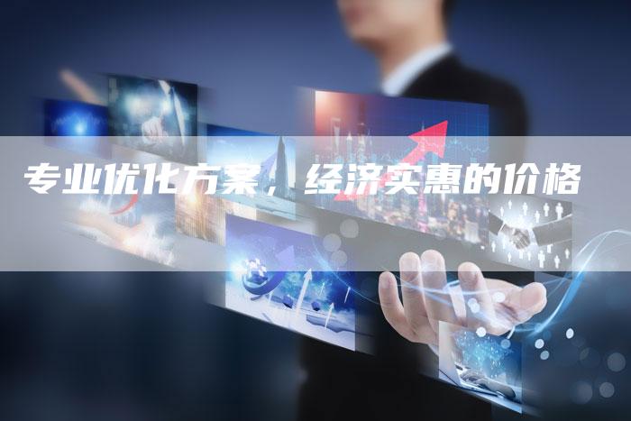 专业优化方案，经济实惠的价格