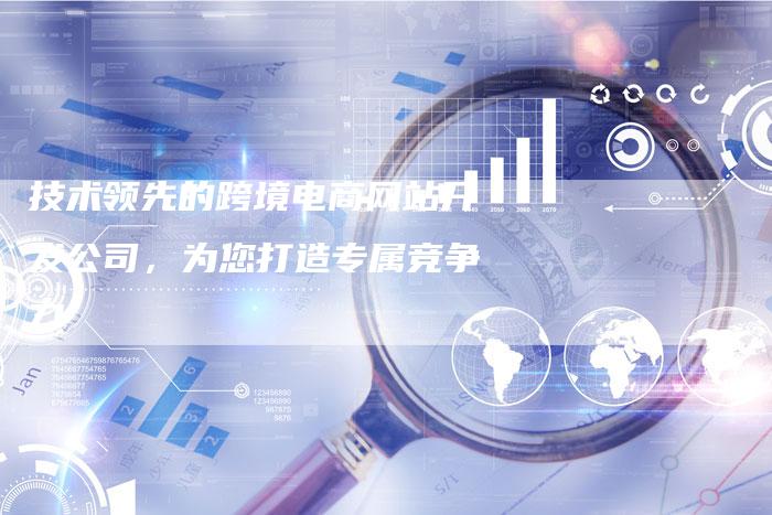 技术领先的跨境电商网站开发公司，为您打造专属竞争力