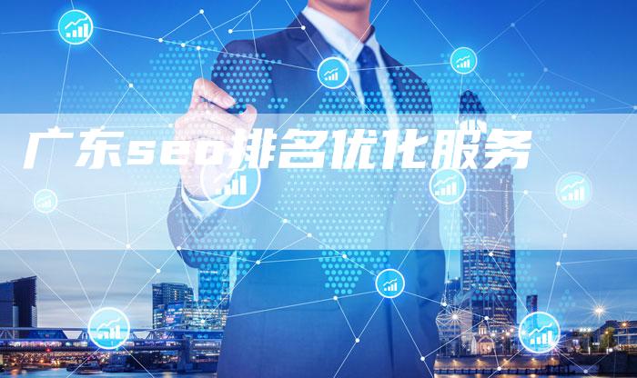 广东seo排名优化服务