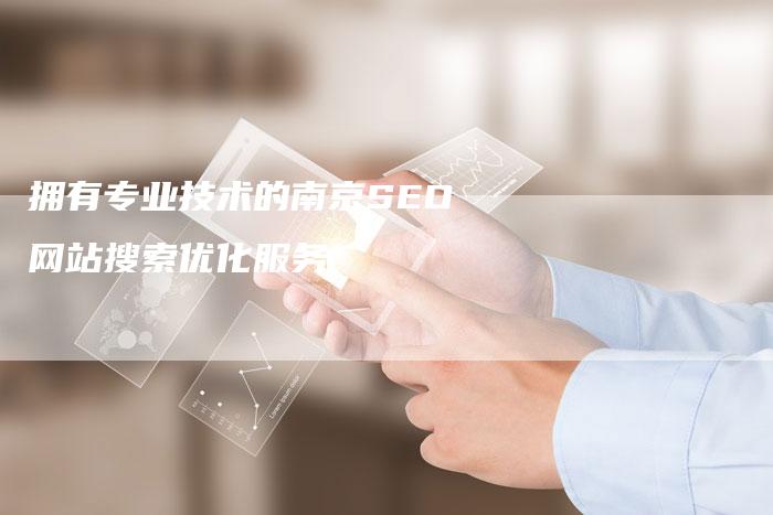拥有专业技术的南京SEO网站搜索优化服务
