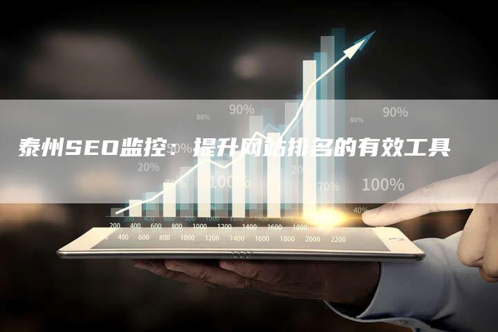 泰州SEO监控：提升网站排名的有效工具